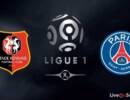 Rennes-vs-Paris-Saint-Germain-Preview-and-Prediction-France-Ligue-1-2017