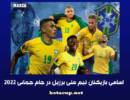 brazil+players