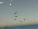 1000799018